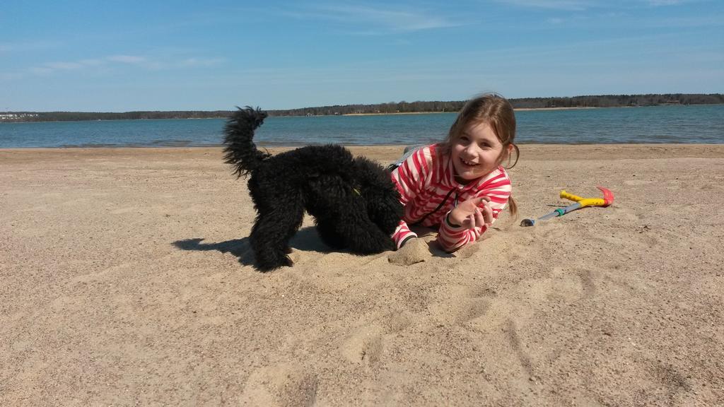Groena Uddens Camping Mariehamn Exterior foto
